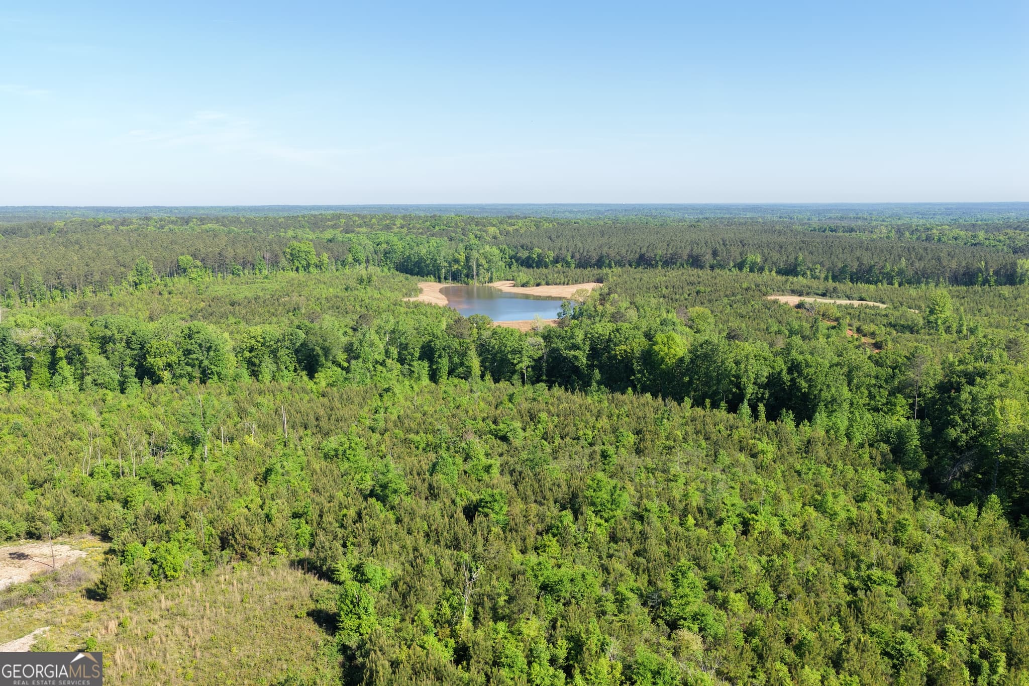 unimproved land for sale at 178.235 AC Rocky Mount Road, Luthersville, GA 30251 — photo 3