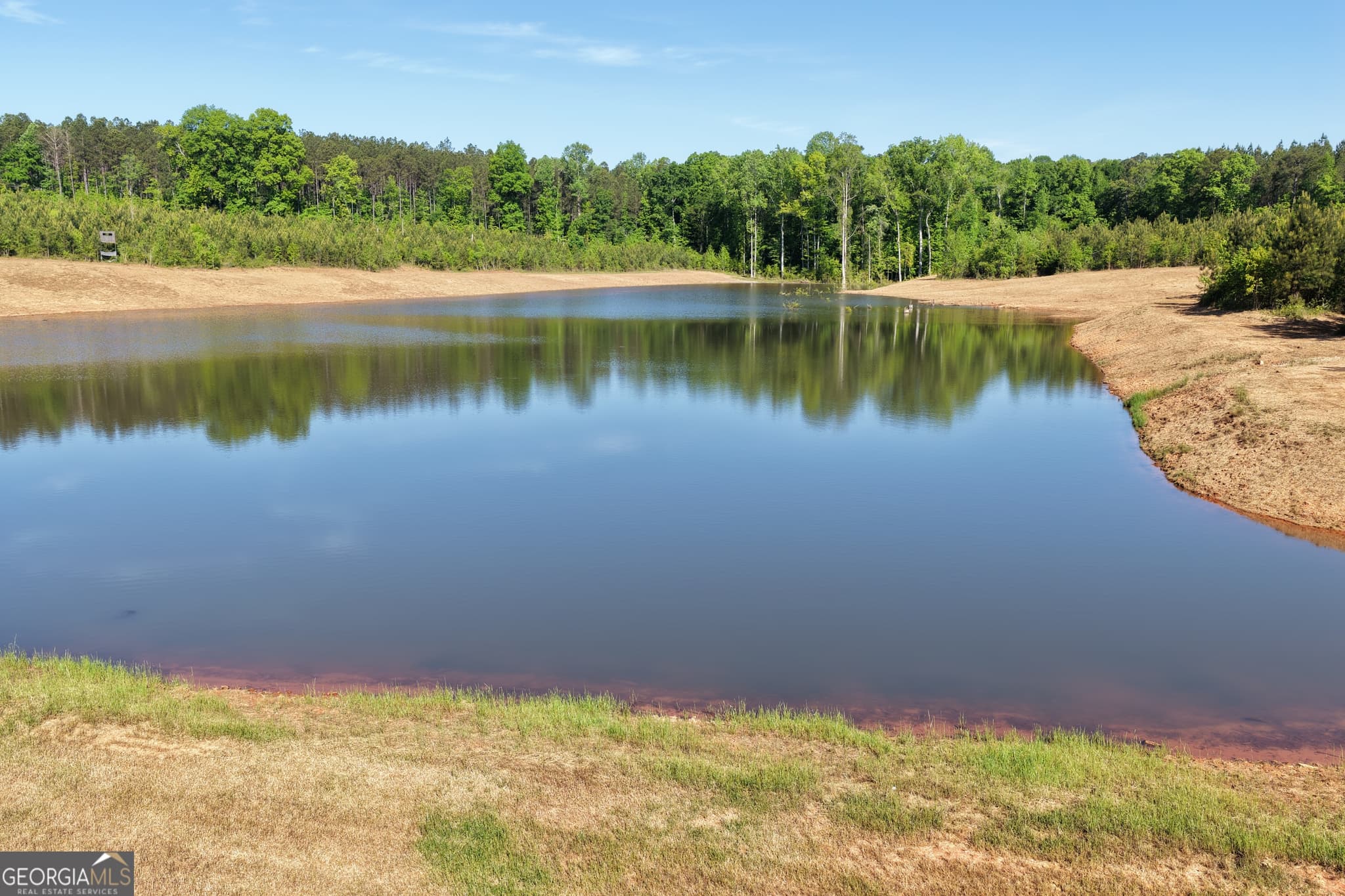 unimproved land for sale at 178.235 AC Rocky Mount Road, Luthersville, GA 30251 — photo 5