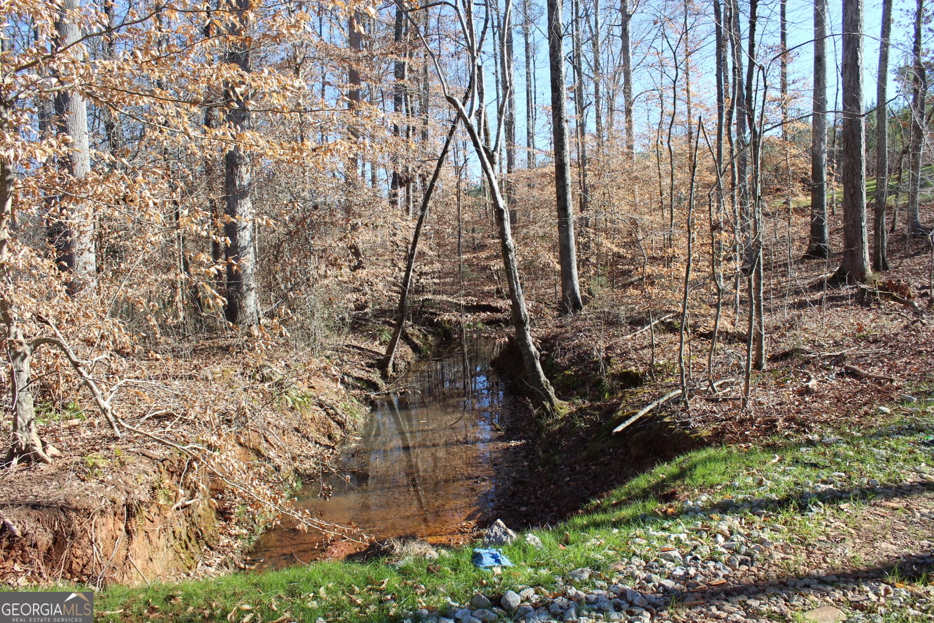 unimproved land for sale at 178.235 AC Rocky Mount Road, Luthersville, GA 30251 — photo 9