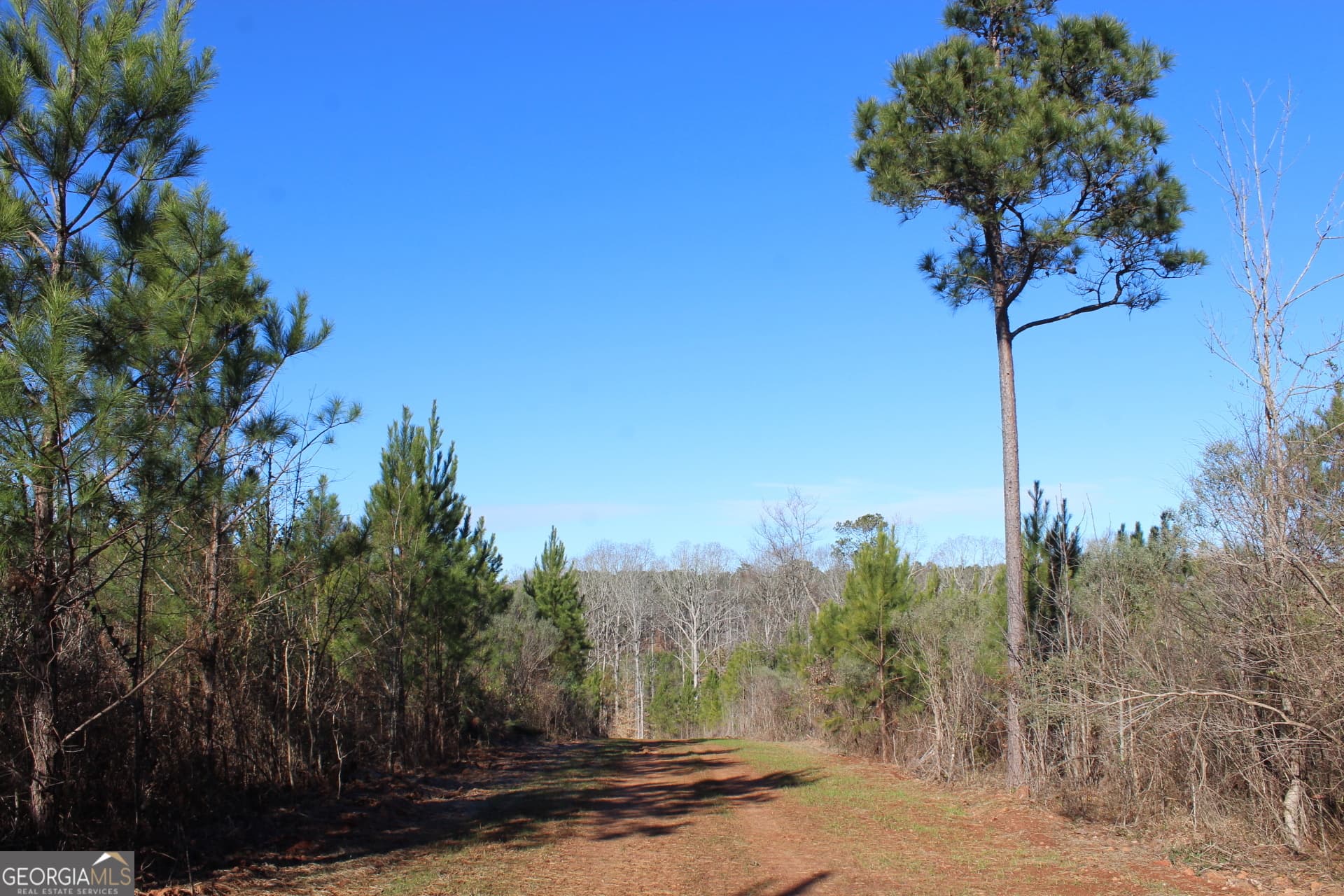 unimproved land for sale at 178.235 AC Rocky Mount Road, Luthersville, GA 30251 — photo 10