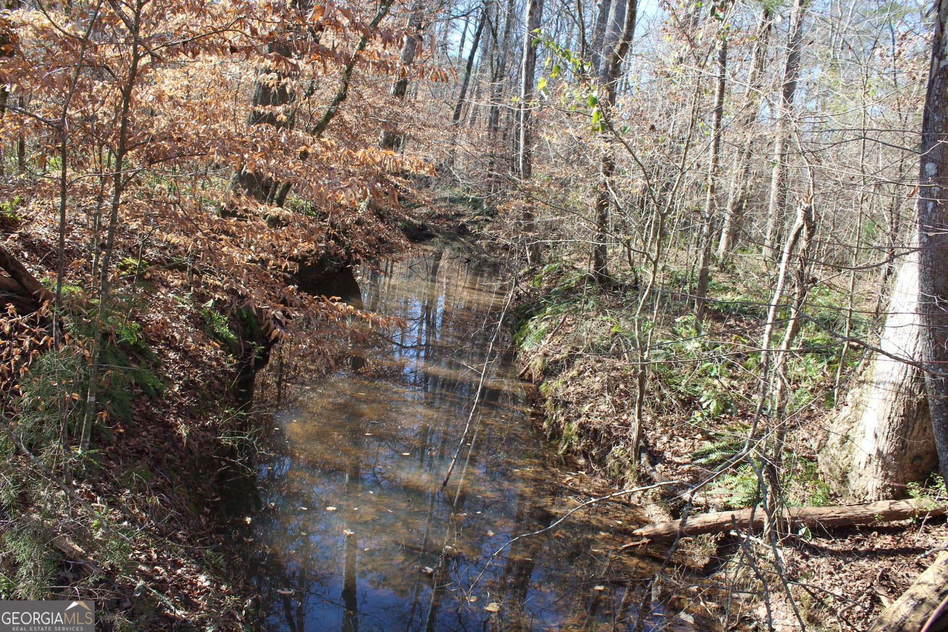 unimproved land for sale at 178.235 AC Rocky Mount Road, Luthersville, GA 30251 — photo 4