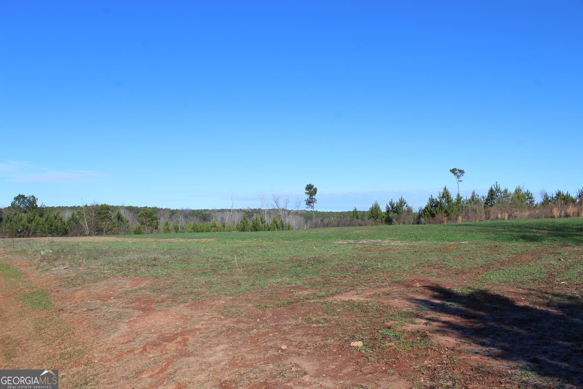 unimproved land for sale at 178.235 AC Rocky Mount Road, Luthersville, GA 30251 — photo 8