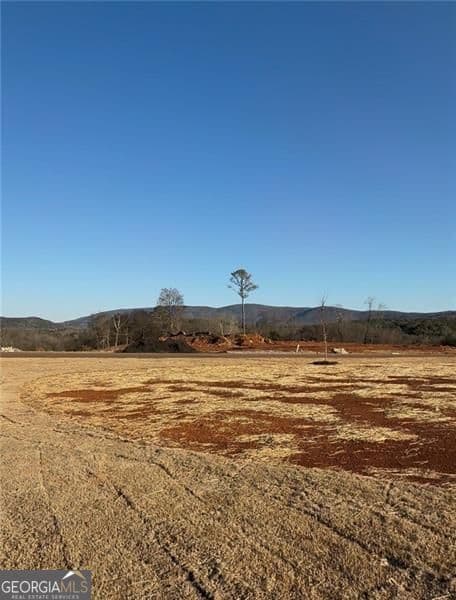 estate lot for sale at 118 Palisade Drive, Rydal, GA 30171 — photo 3