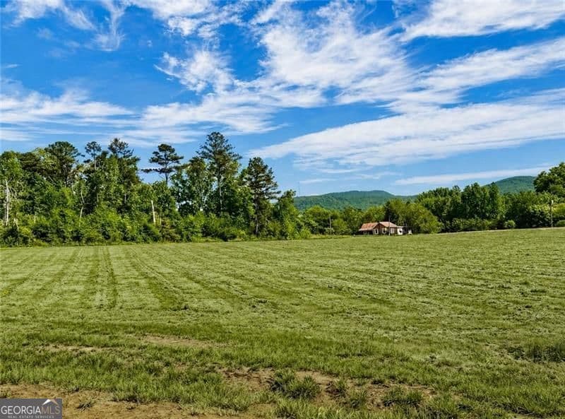 estate lot for sale at 118 Palisade Drive, Rydal, GA 30171 — photo 1 of 11
