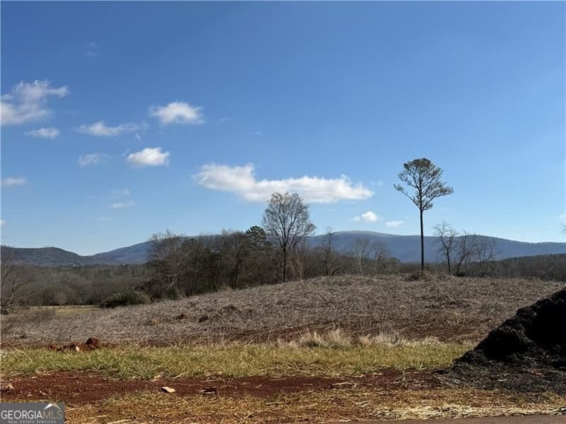 estate lot for sale at 118 Palisade Drive, Rydal, GA 30171 — photo 5