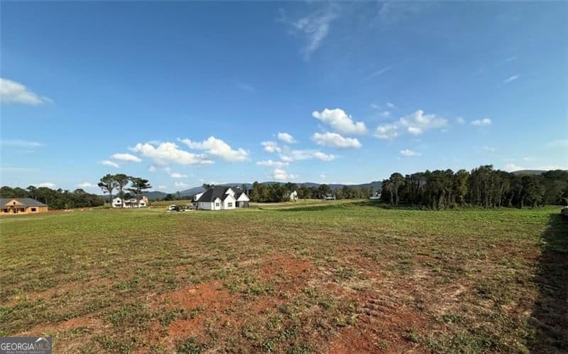 estate lot for sale at 118 Palisade Drive, Rydal, GA 30171 — photo 10