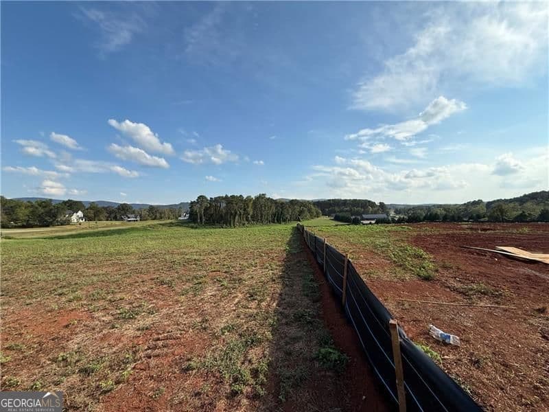 estate lot for sale at 118 Palisade Drive, Rydal, GA 30171 — photo 4