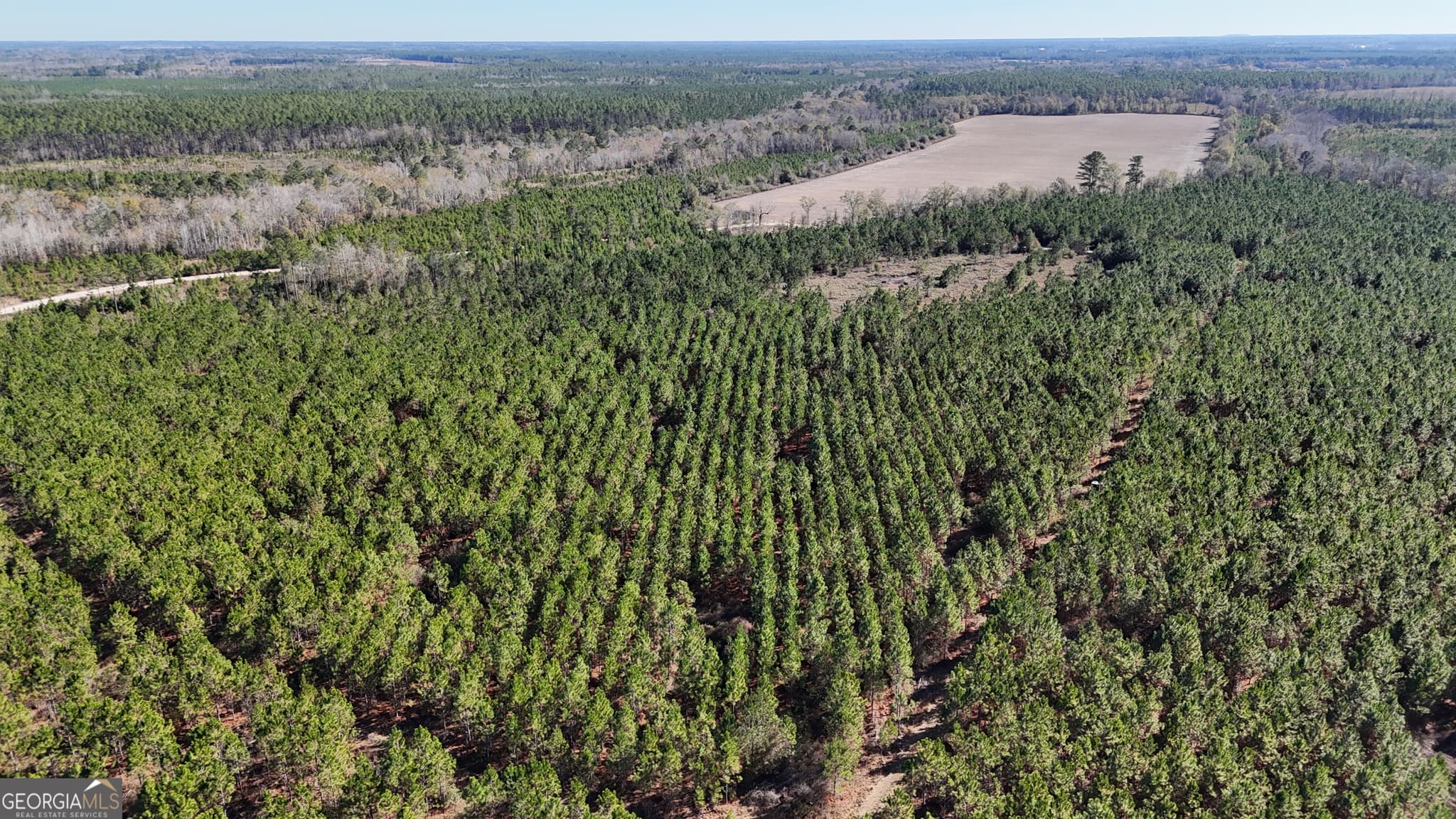 agriculture sold at 19 AC Owens Road, Odum, GA 31555