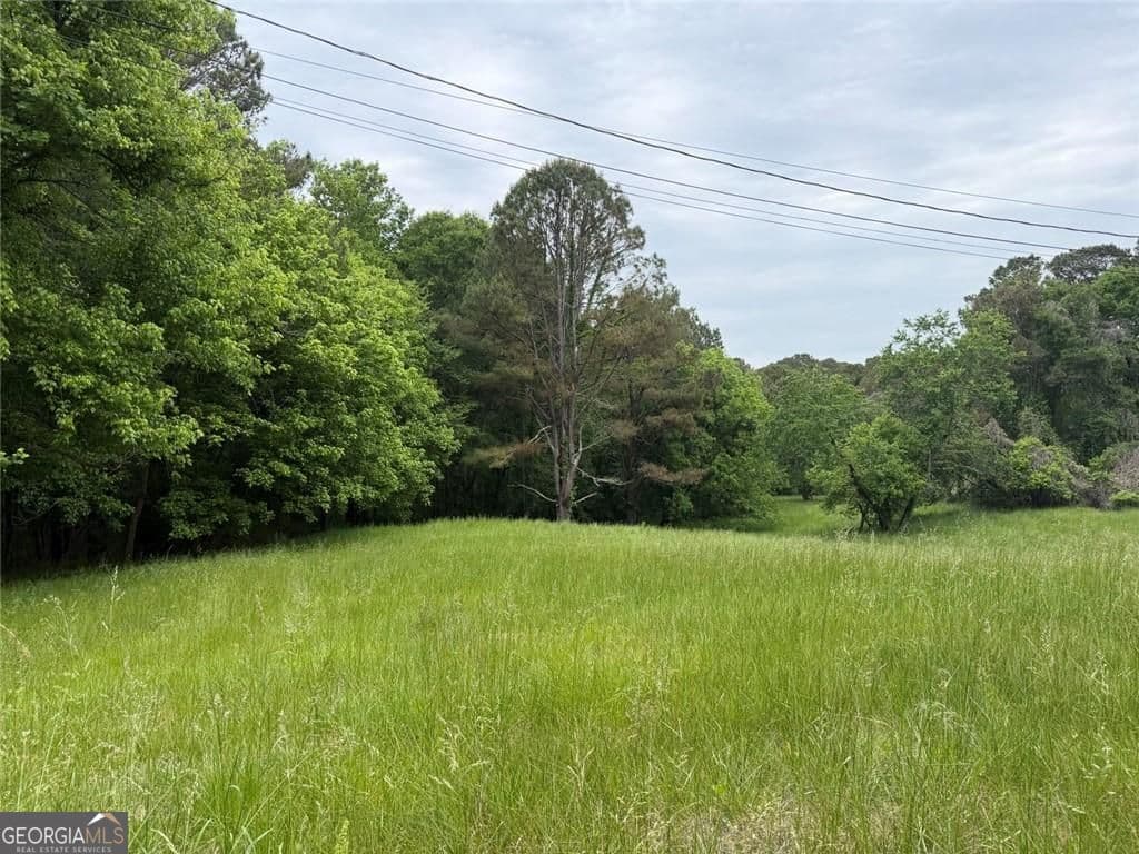 unimproved land for sale at 565B Avery Road, Canton, GA 30115 — photo 6