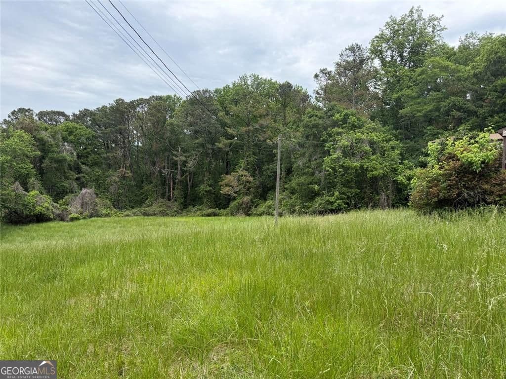 unimproved land for sale at 565B Avery Road, Canton, GA 30115 — photo 7