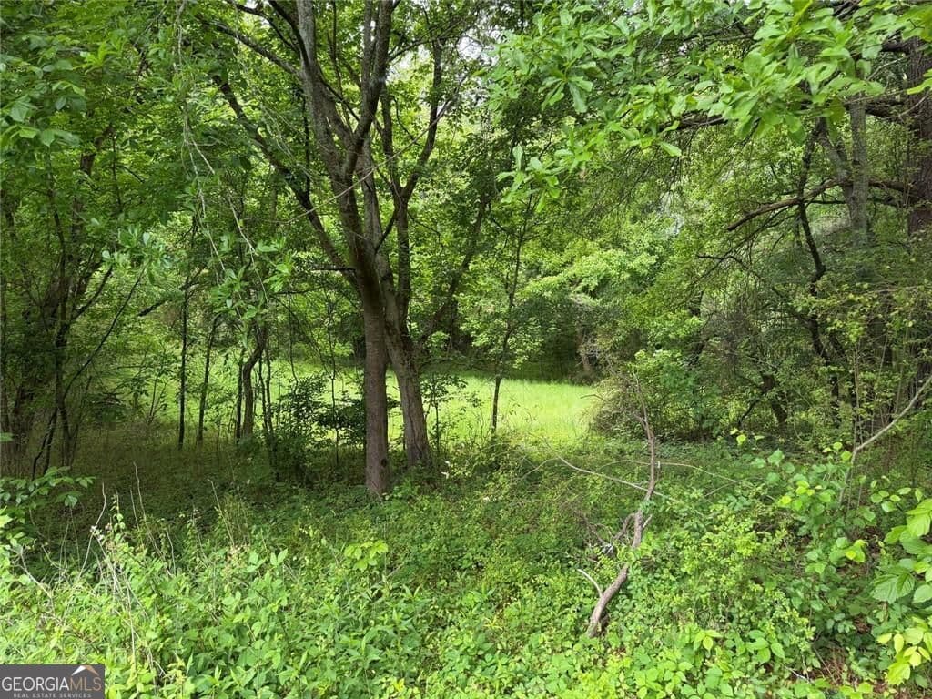 unimproved land for sale at 565B Avery Road, Canton, GA 30115 — photo 5