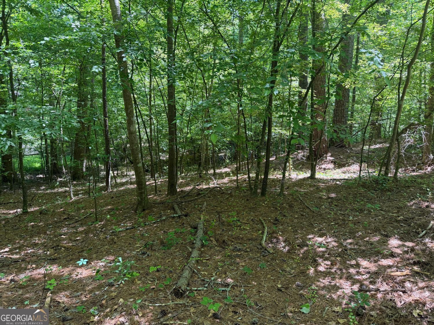 unimproved land for sale at 565B Avery Road, Canton, GA 30115 — photo 9