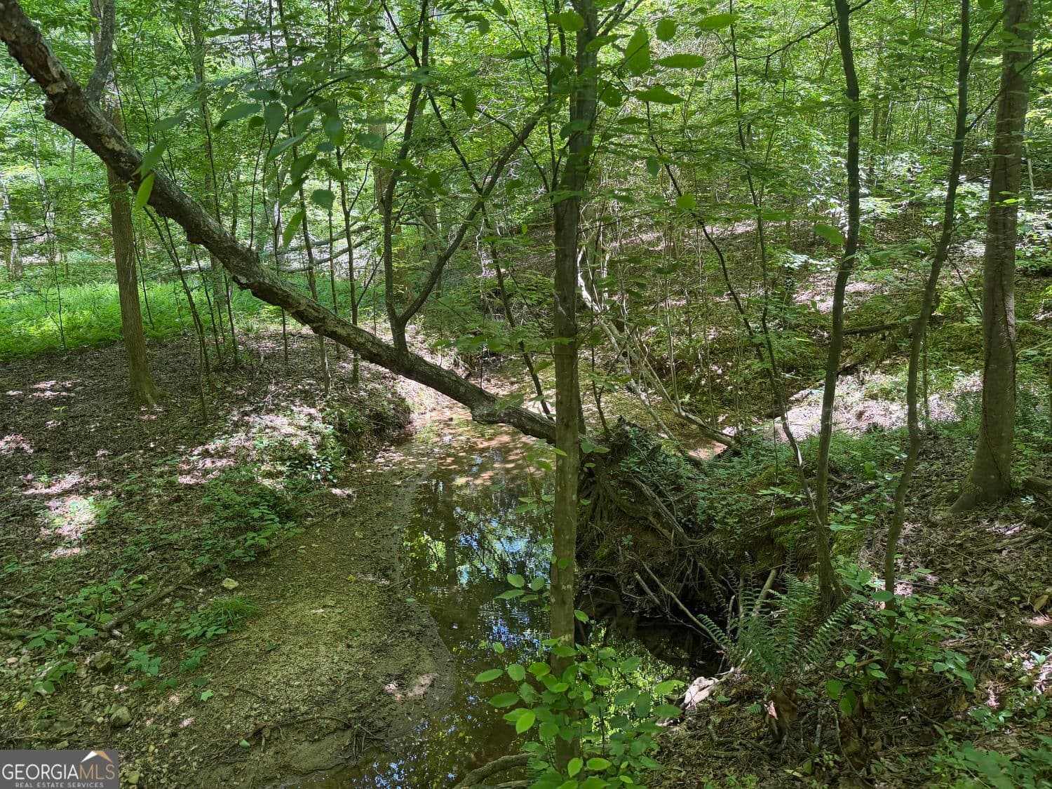 unimproved land for sale at 565B Avery Road, Canton, GA 30115 — photo 10