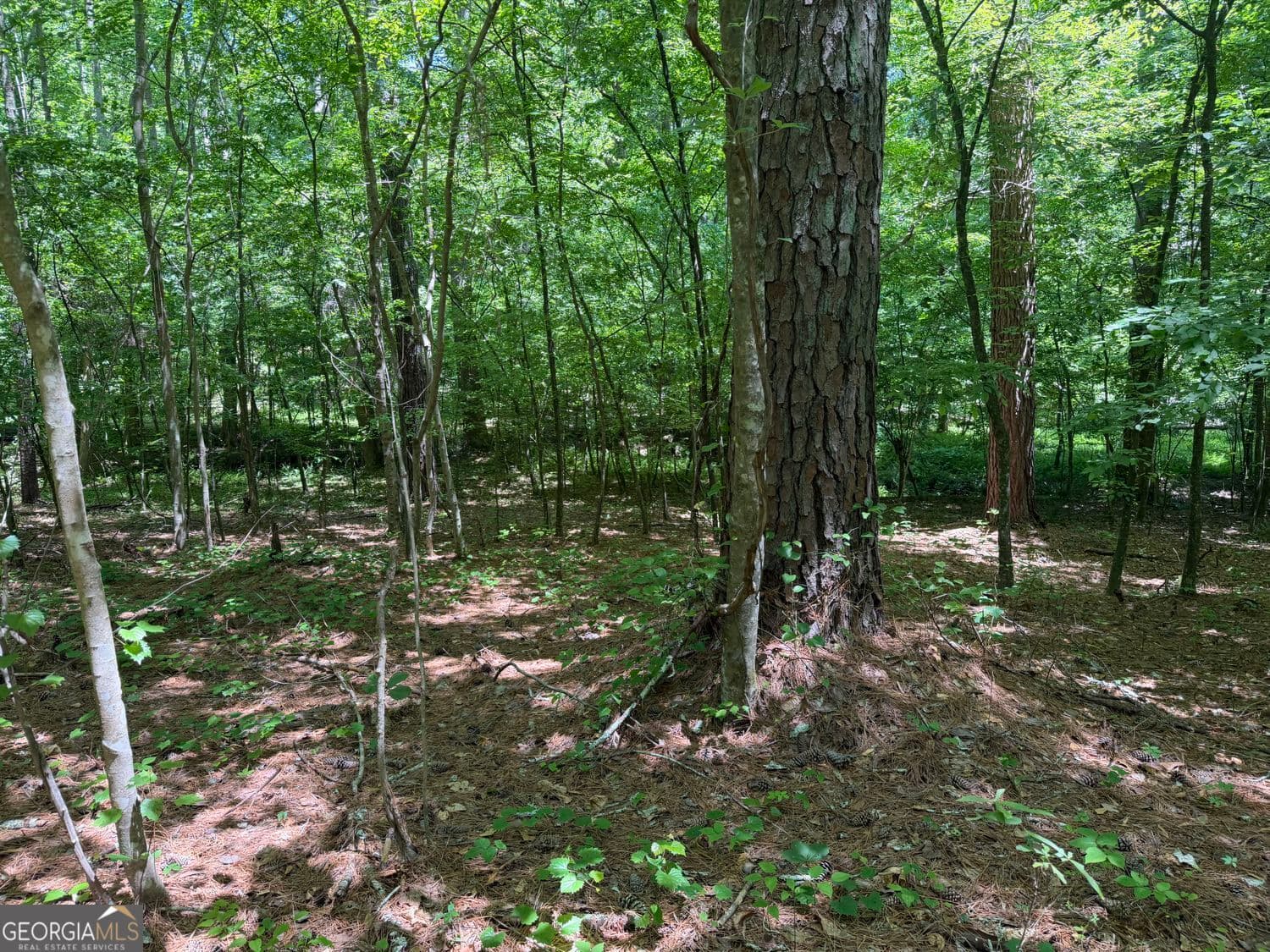 unimproved land for sale at 565B Avery Road, Canton, GA 30115 — photo 8
