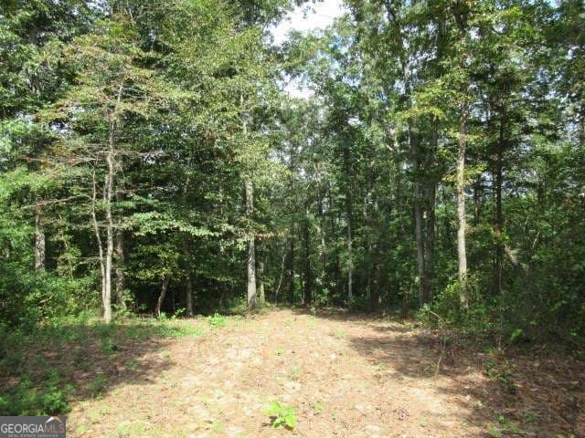 residential lot for sale at 101 Winding Road LOT 6, Bowdon, GA 30108 — photo 1 of 2