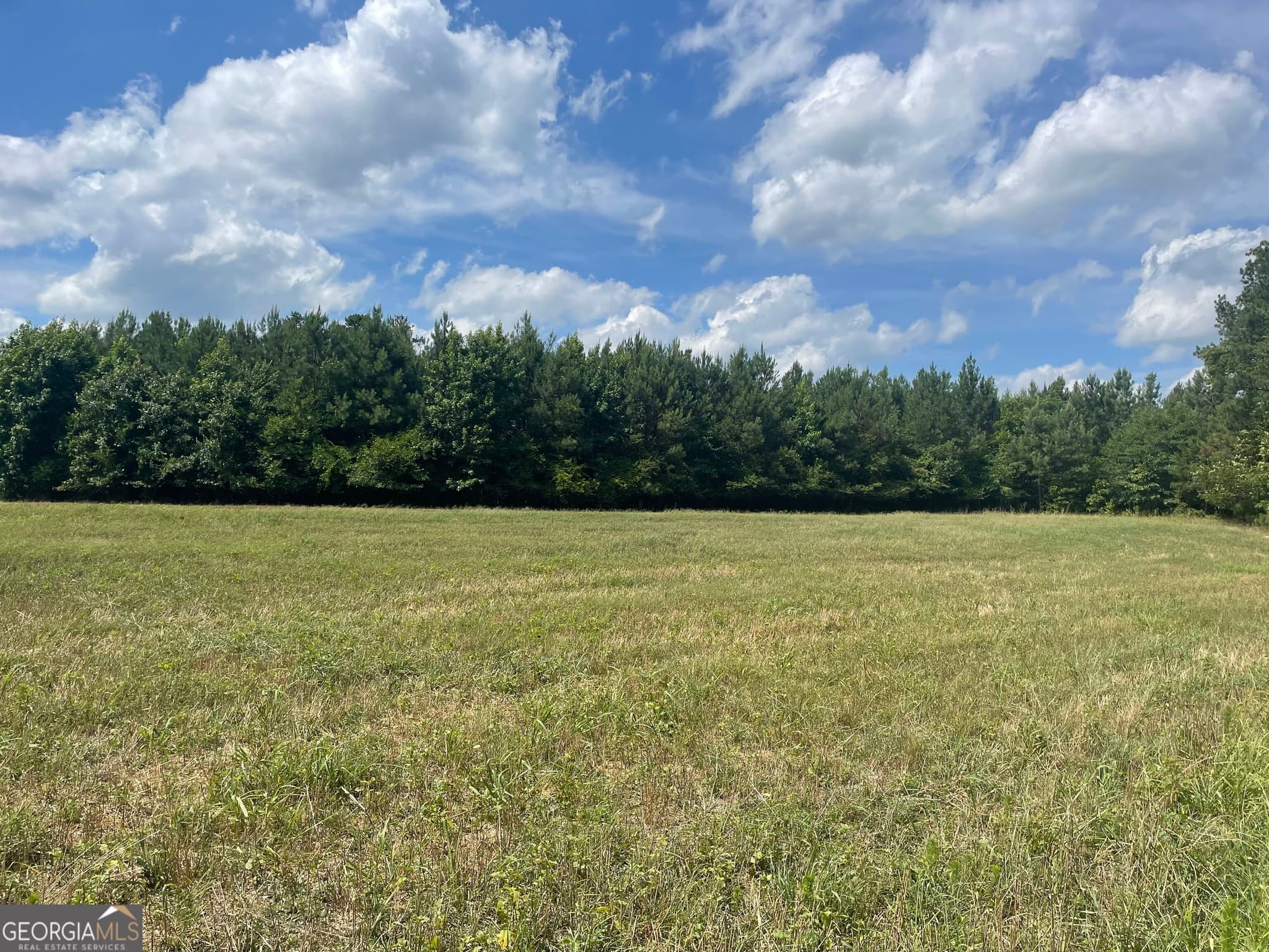 agriculture for sale at 0 Cannon Road, Sharpsburg, GA 30277