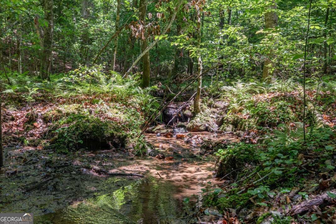 residential lot for sale at 5 AC Solar Drive, Blue Ridge, GA 30513 — photo 2