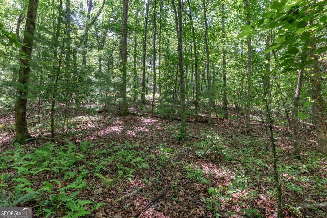 residential lot for sale at 5 AC Solar Drive, Blue Ridge, GA 30513 — photo 6