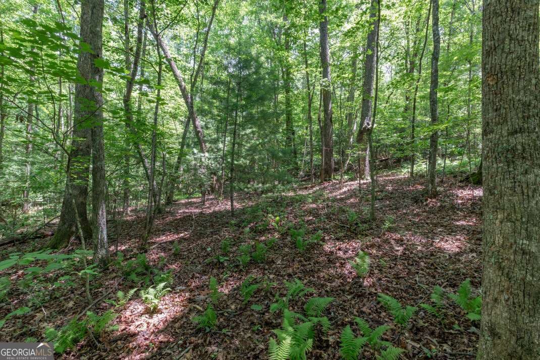residential lot for sale at 5 AC Solar Drive, Blue Ridge, GA 30513 — photo 7