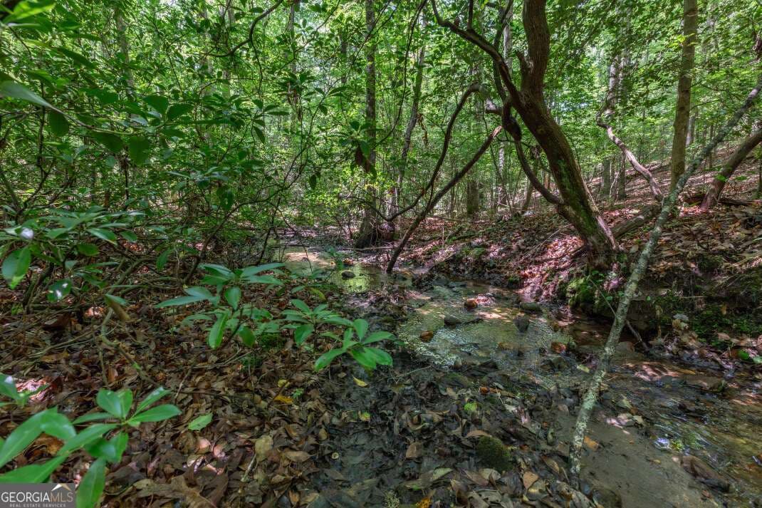 residential lot for sale at 5 AC Solar Drive, Blue Ridge, GA 30513 — photo 3