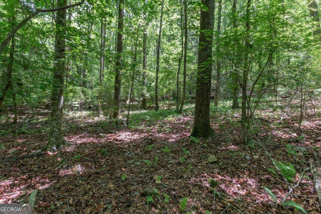 residential lot for sale at 5 AC Solar Drive, Blue Ridge, GA 30513 — photo 5