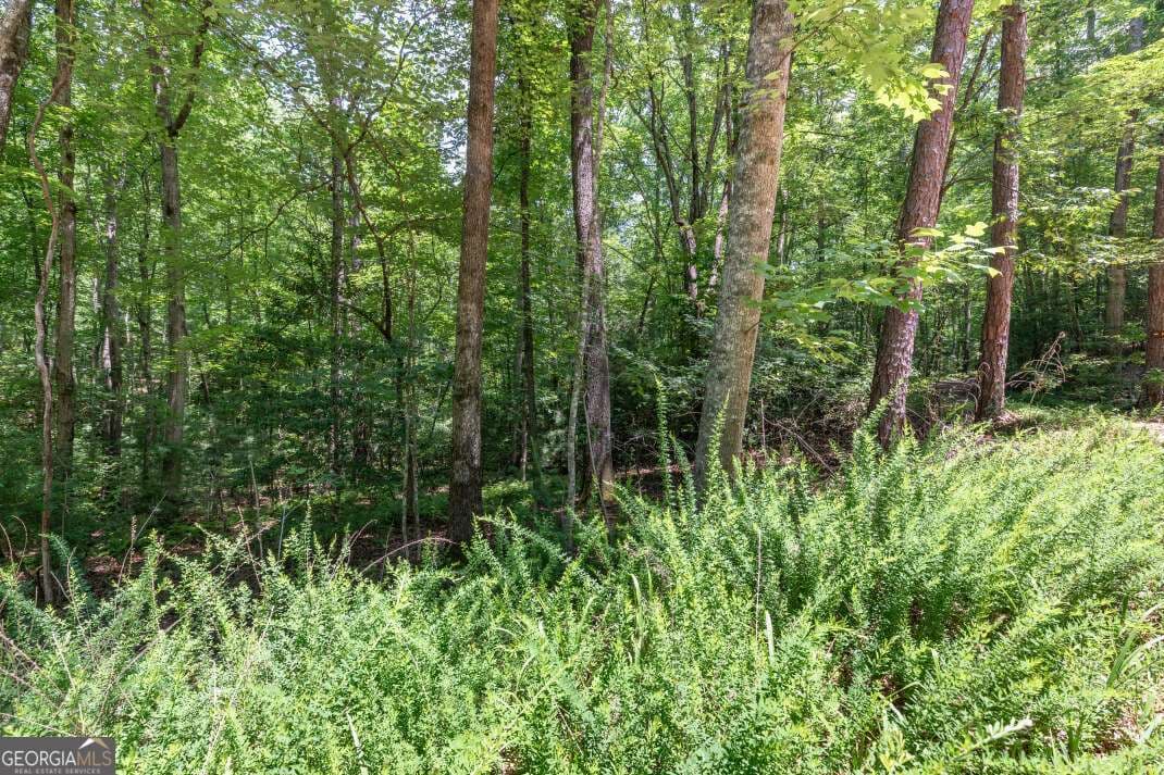 residential lot for sale at 5 AC Solar Drive, Blue Ridge, GA 30513 — photo 9