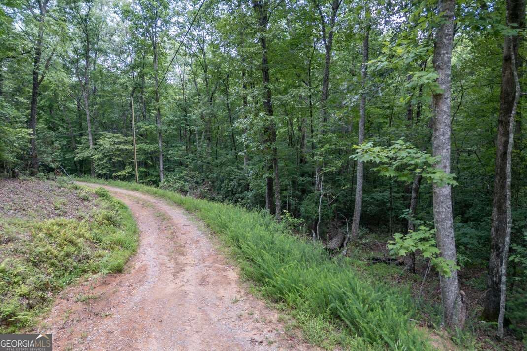 residential lot for sale at 5 AC Solar Drive, Blue Ridge, GA 30513 — photo 10