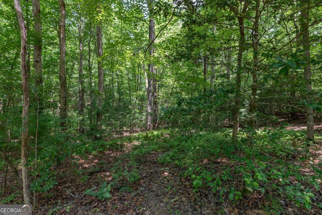 residential lot for sale at 5 AC Solar Drive, Blue Ridge, GA 30513 — photo 4