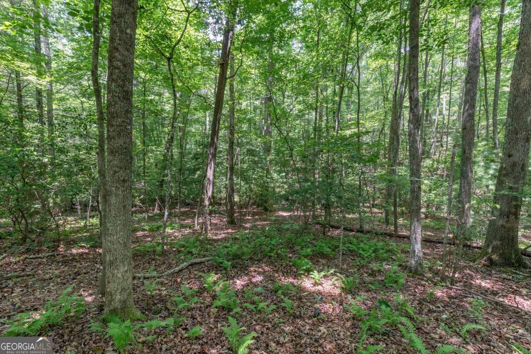 residential lot for sale at 5 AC Solar Drive, Blue Ridge, GA 30513 — photo 8