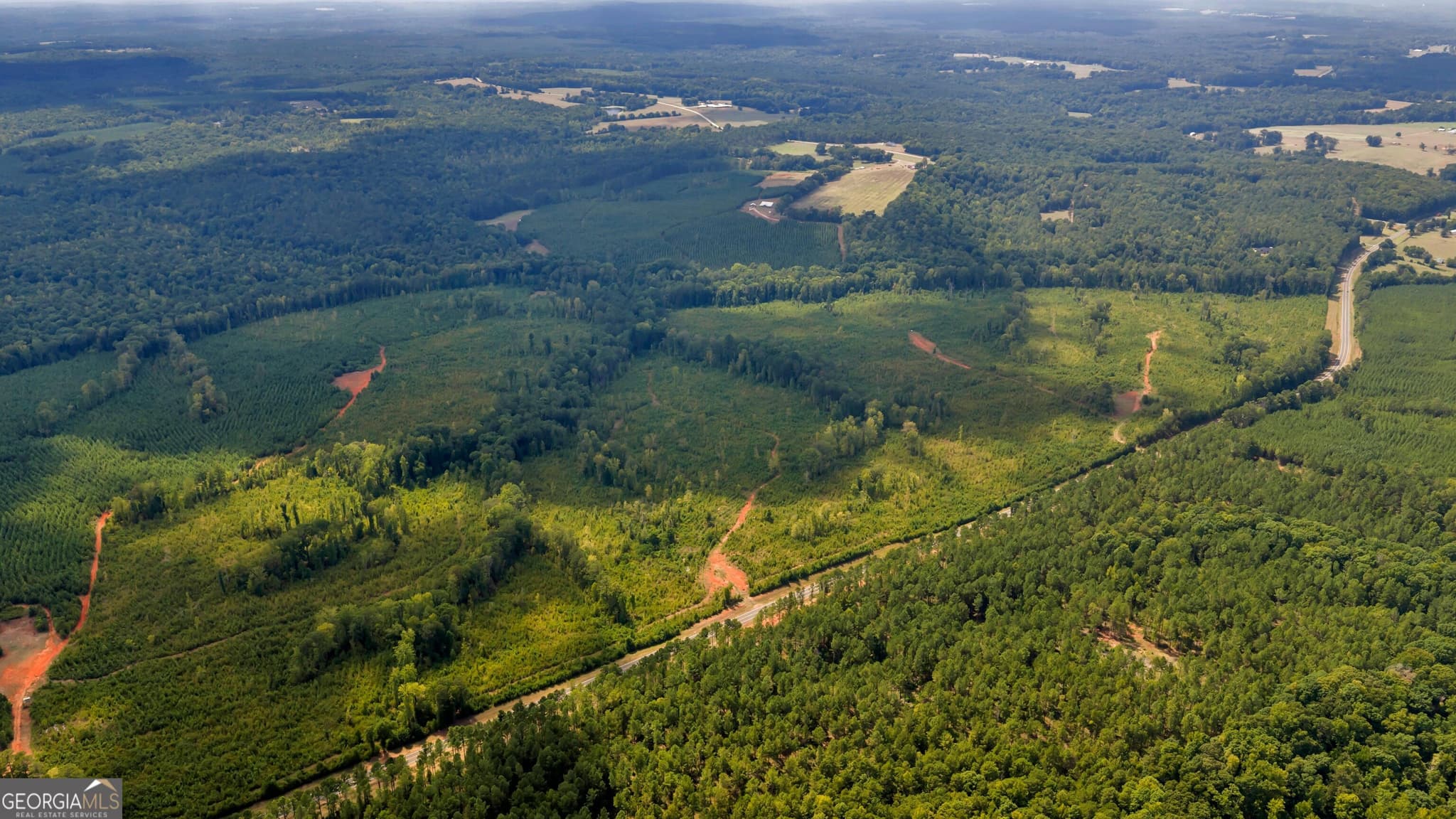 unimproved land for sale at 212 E GA Hwy, Monticello, GA 31064 — photo 2