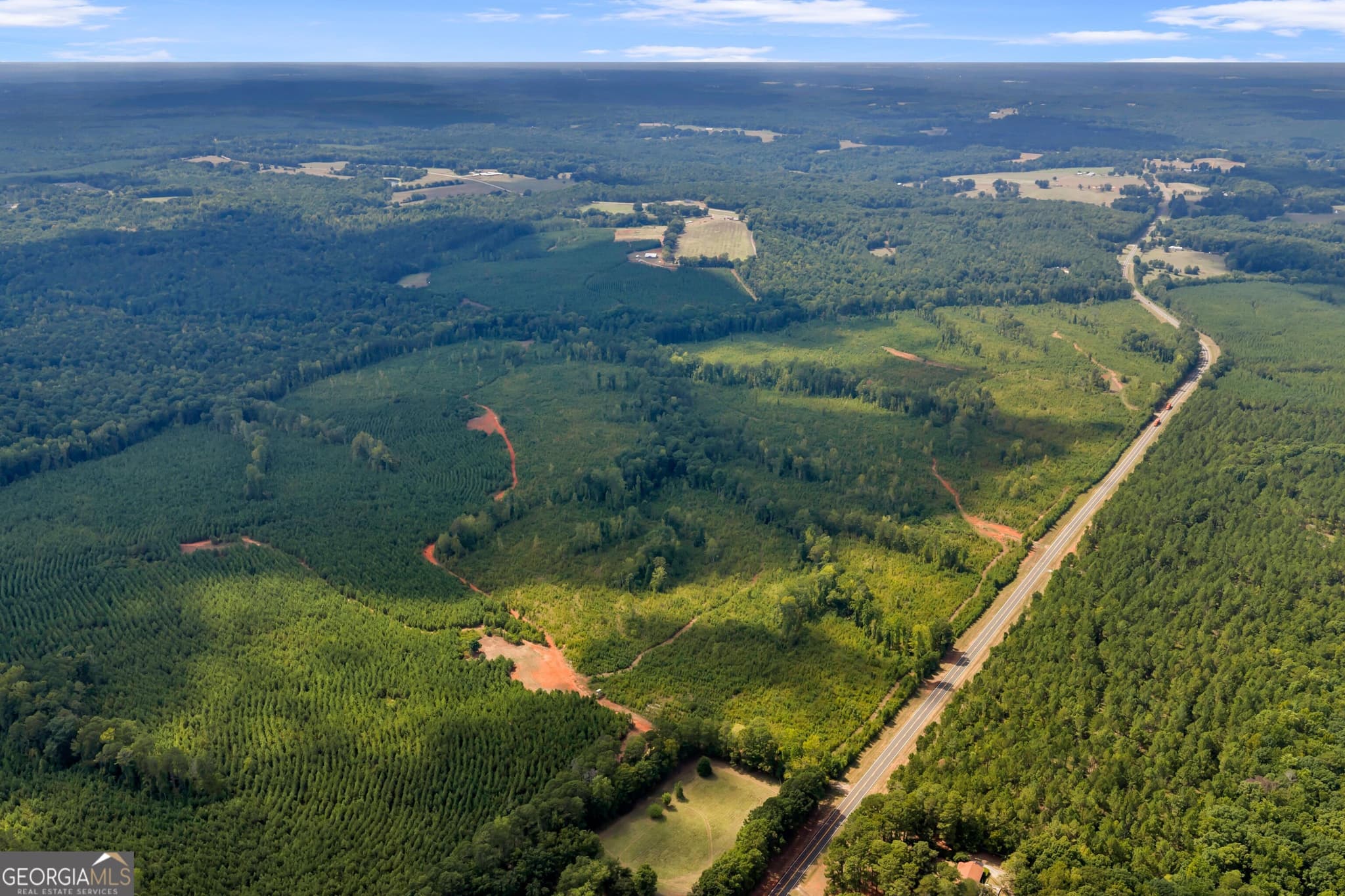 unimproved land for sale at 212 E GA Hwy, Monticello, GA 31064 — photo 6