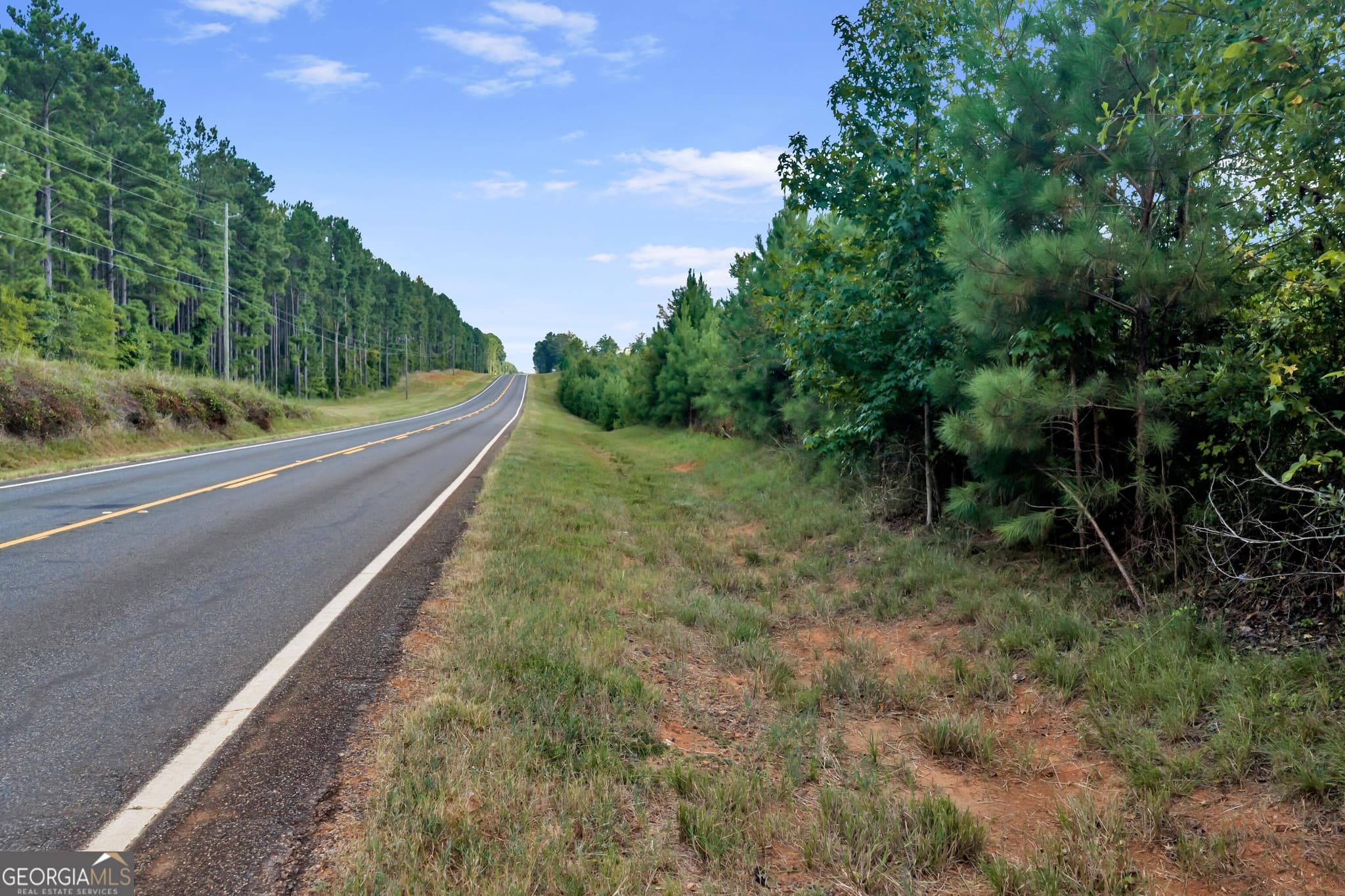 unimproved land for sale at 212 E GA Hwy, Monticello, GA 31064 — photo 3
