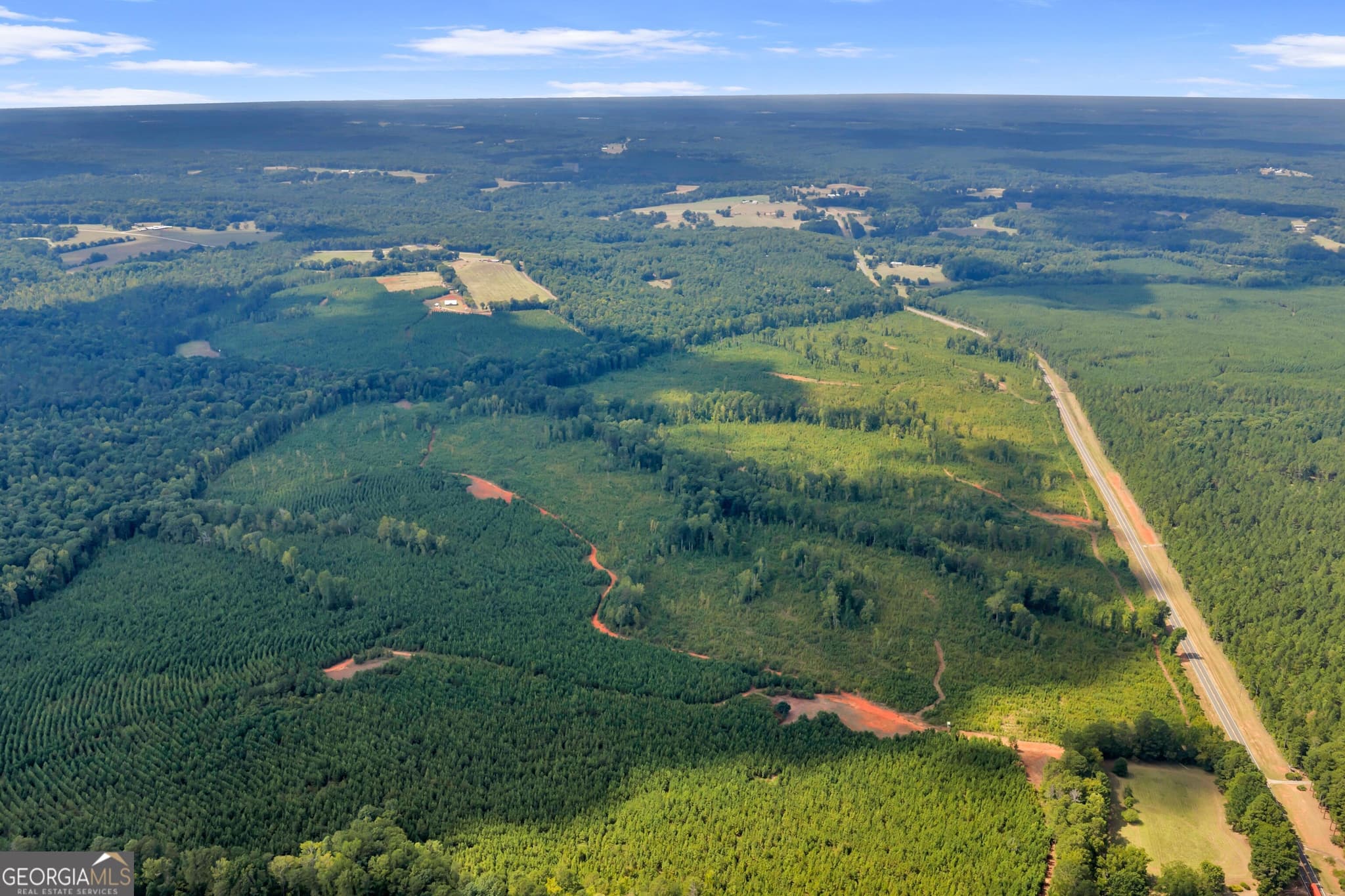 unimproved land for sale at 212 E GA Hwy, Monticello, GA 31064 — photo 5