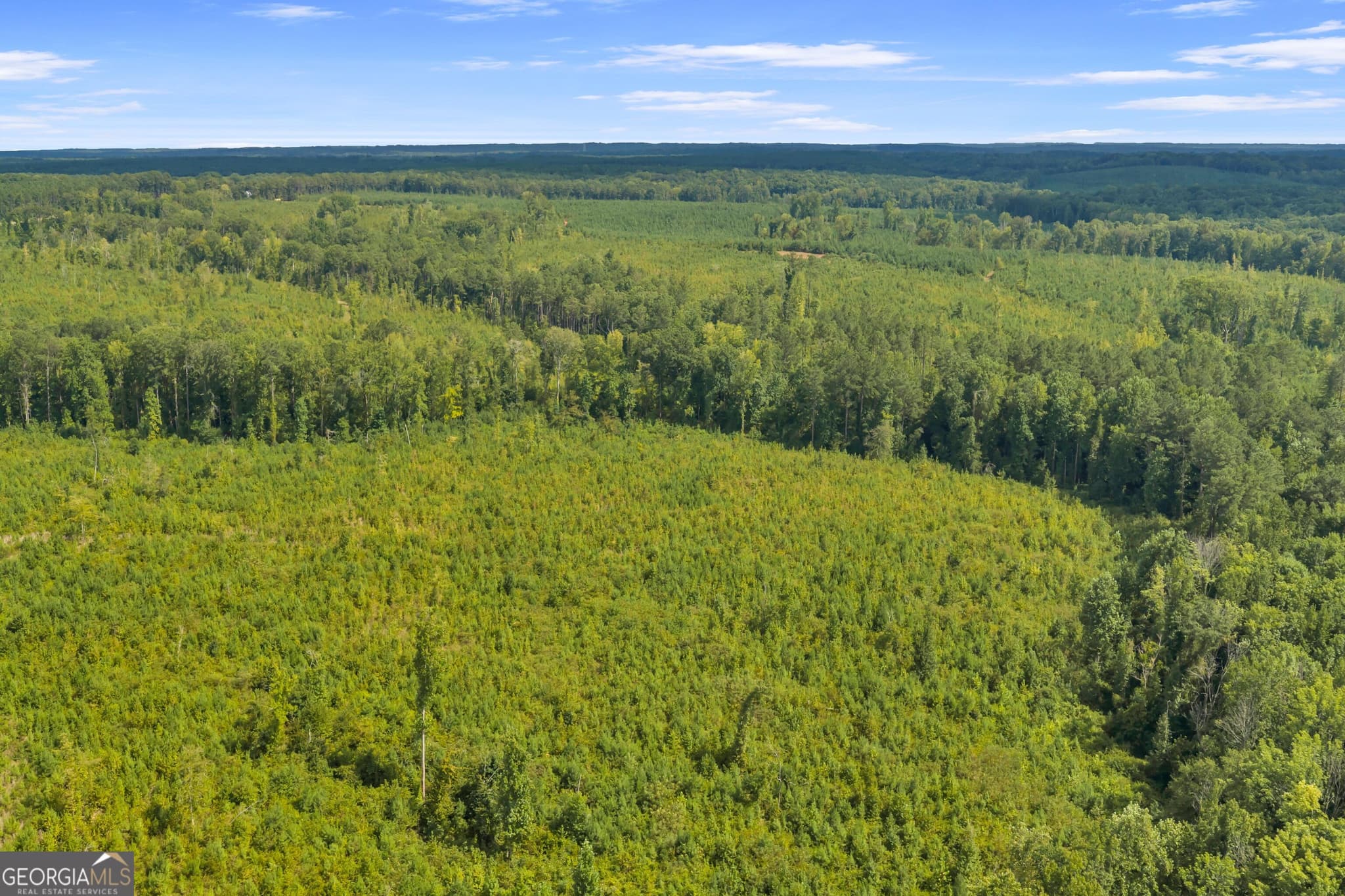unimproved land for sale at 212 E GA Hwy, Monticello, GA 31064 — photo 10