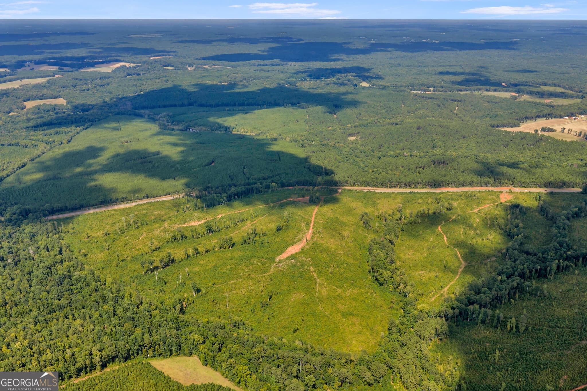 unimproved land for sale at 212 E GA Hwy, Monticello, GA 31064 — photo 4