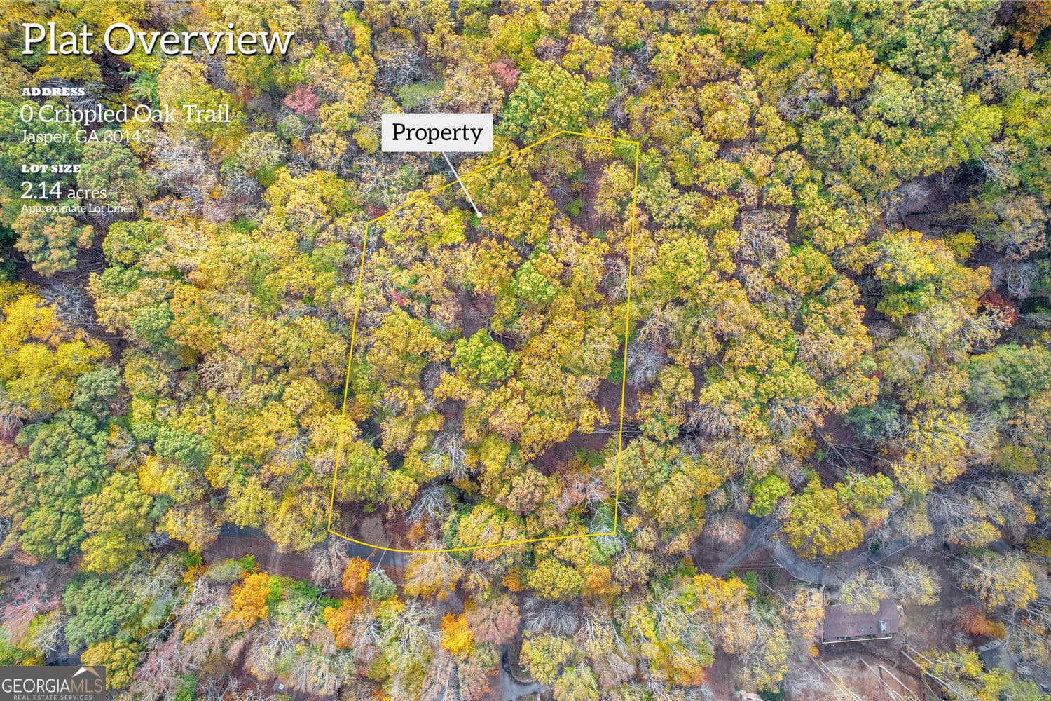 residential lot for sale at 0 Crippled Oak Trail, Jasper, GA 30143 — photo 2