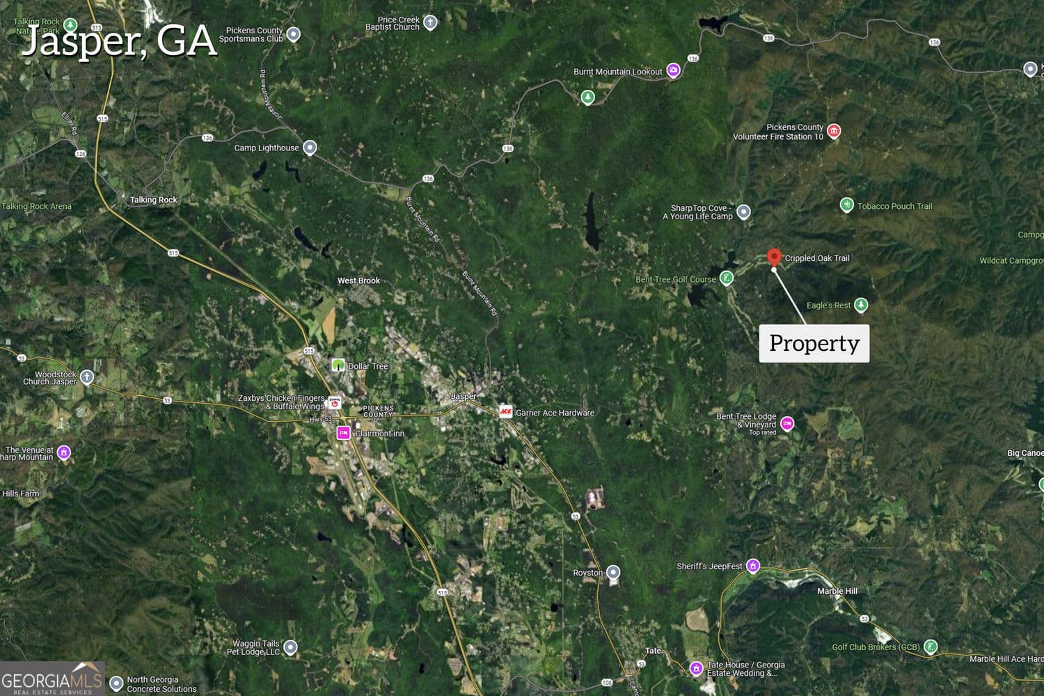 residential lot for sale at 0 Crippled Oak Trail, Jasper, GA 30143 — photo 3