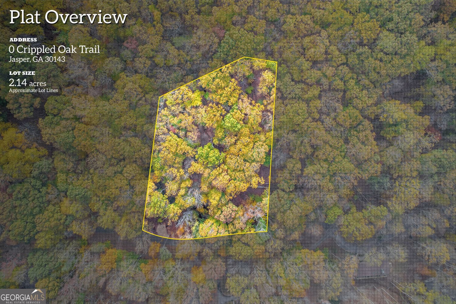 residential lot for sale at 0 Crippled Oak Trail, Jasper, GA 30143 — photo 1 of 25