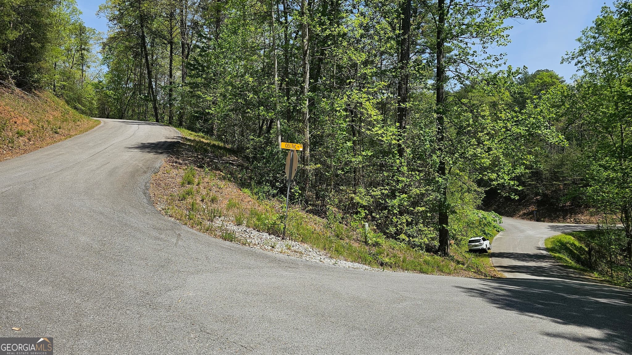 residential lot for sale at 0 Heavenly Circle 12, Clayton, GA 30525 — photo 3
