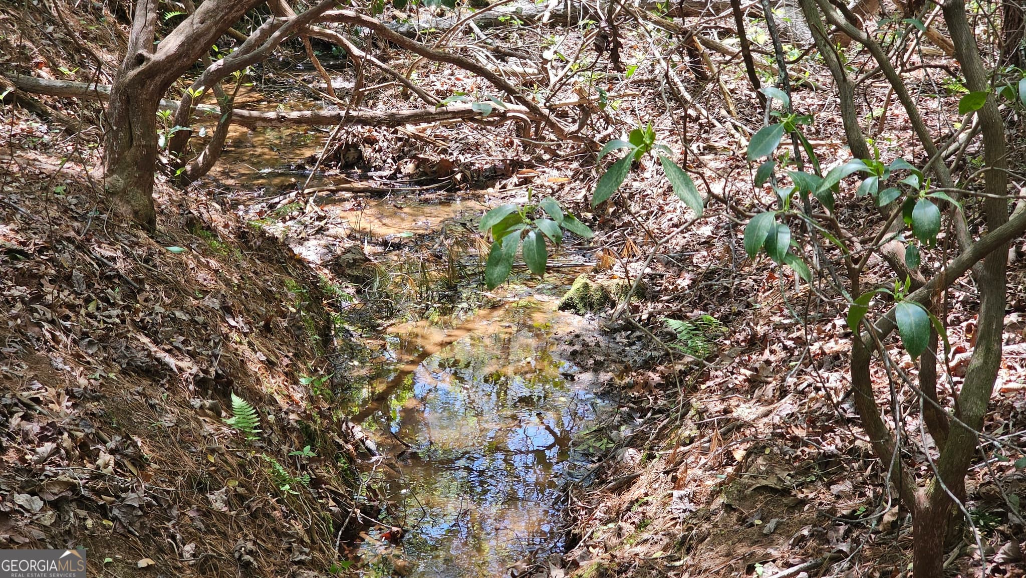 residential lot for sale at 0 Heavenly Circle 12, Clayton, GA 30525 — photo 9