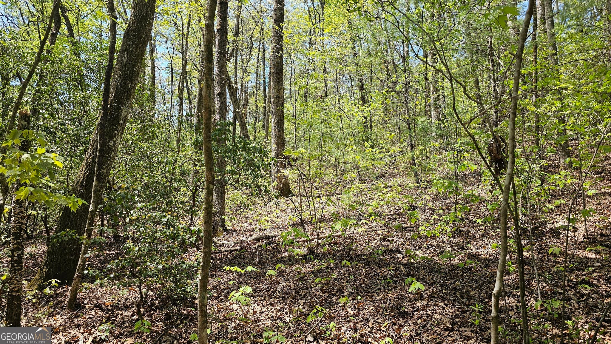 residential lot for sale at 0 Heavenly Circle 12, Clayton, GA 30525 — photo 10