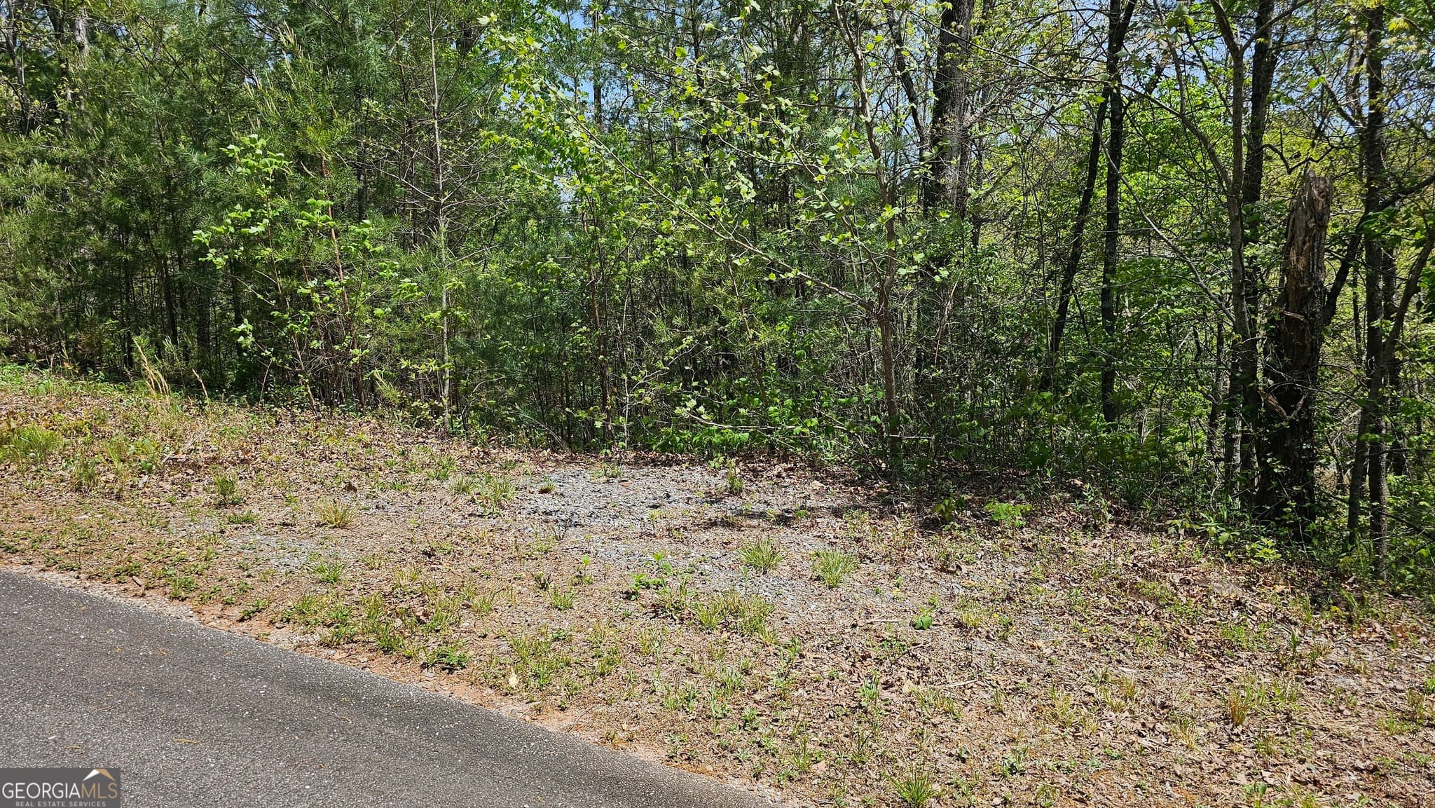 residential lot for sale at 0 Heavenly Circle 12, Clayton, GA 30525 — photo 8
