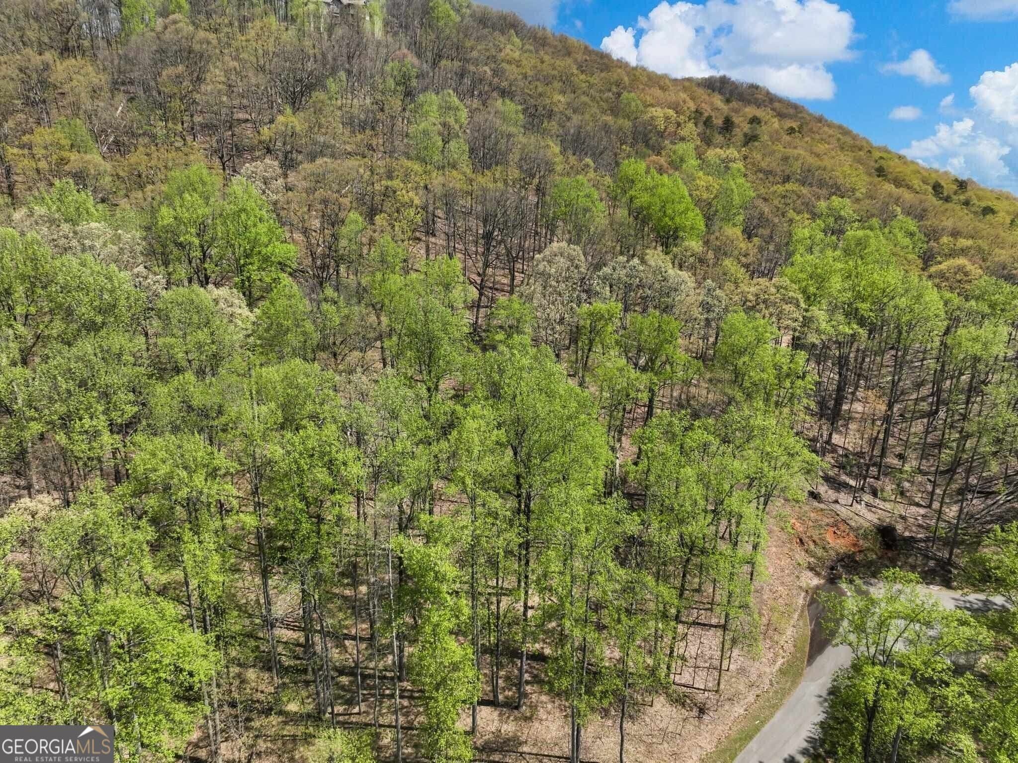 unimproved land for sale at 0 Stone Cliff Trace, Cleveland, GA 30528 — photo 6