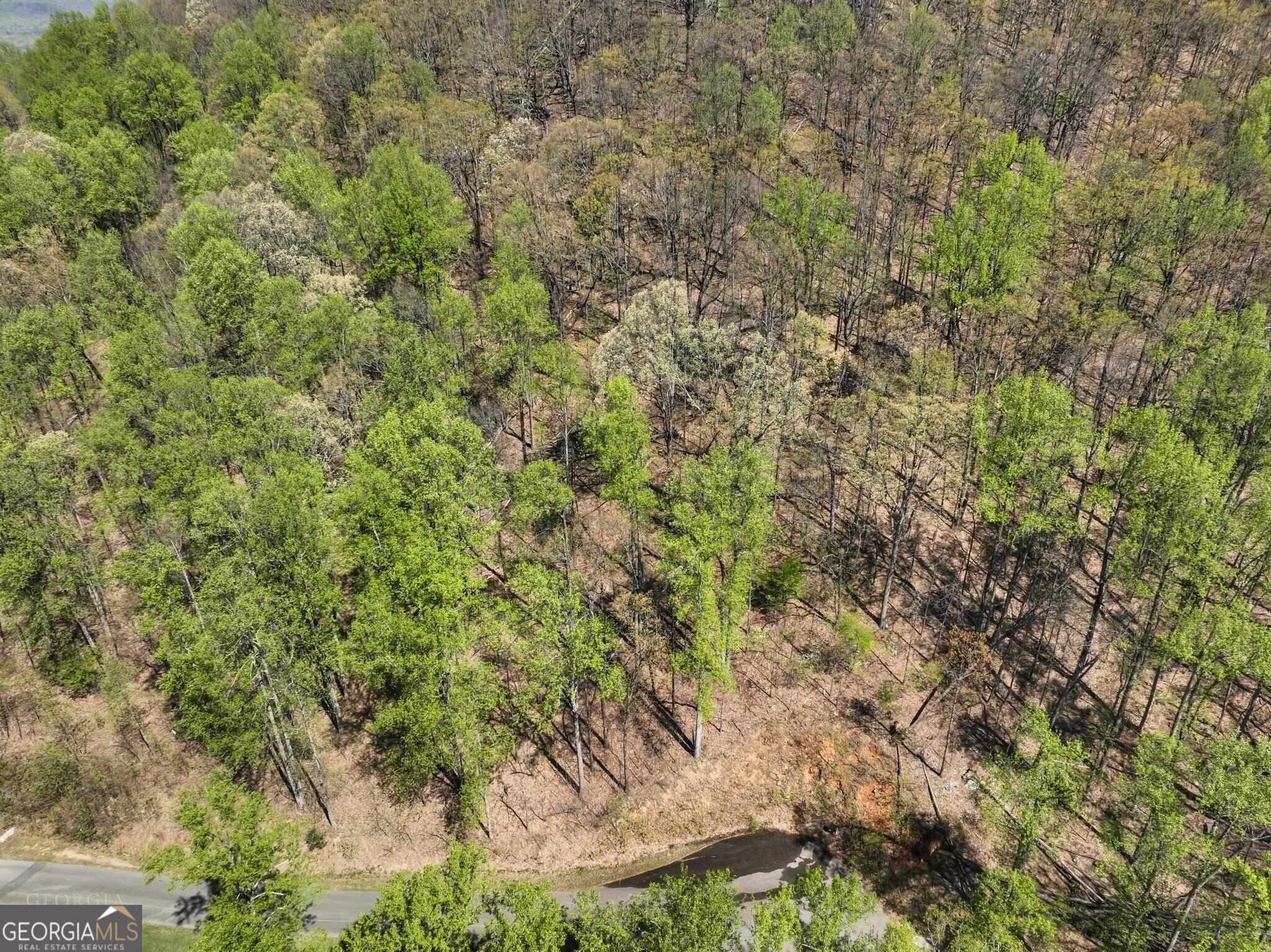 unimproved land for sale at 0 Stone Cliff Trace, Cleveland, GA 30528 — photo 7