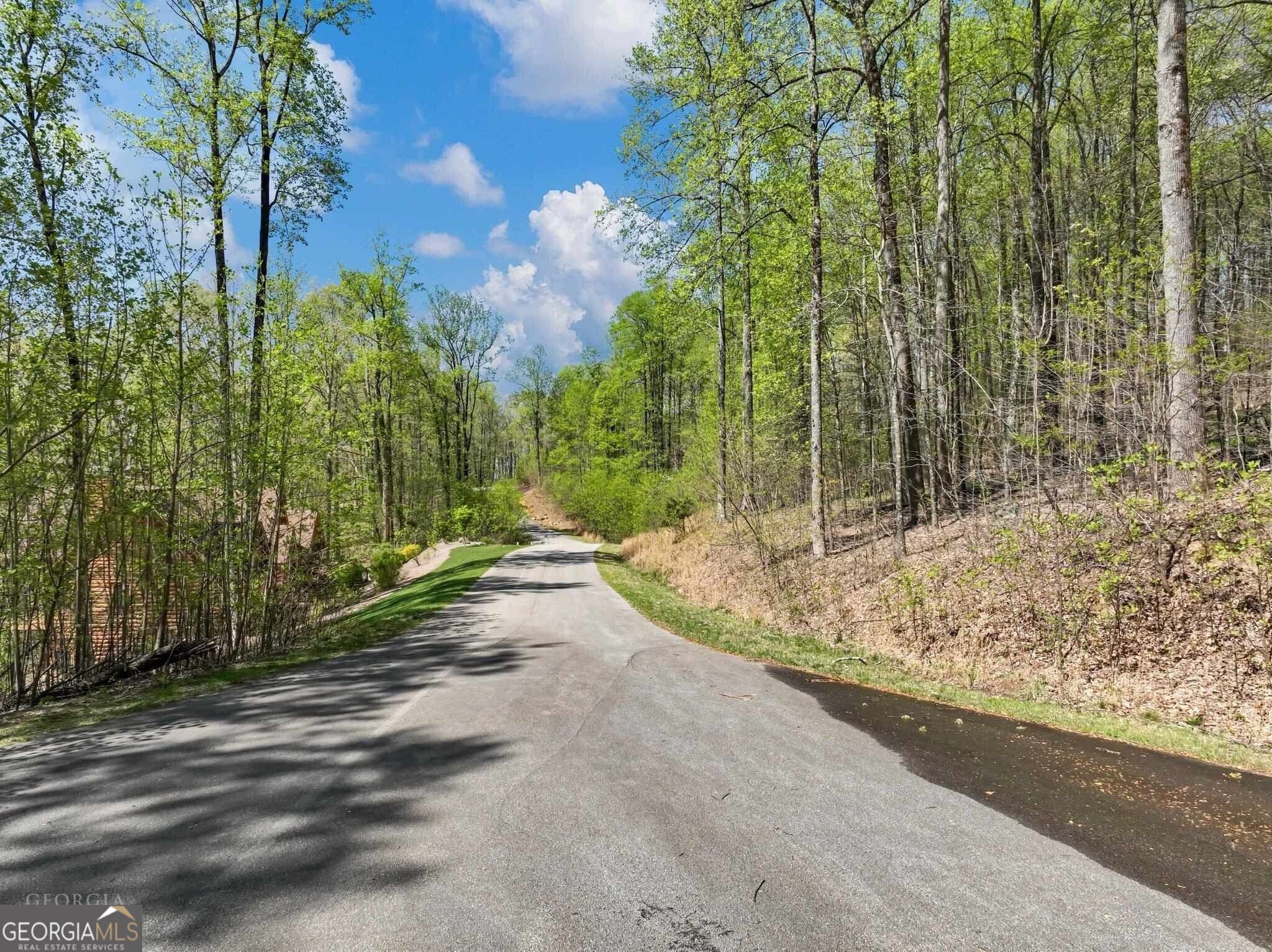unimproved land for sale at 0 Stone Cliff Trace, Cleveland, GA 30528 — photo 3