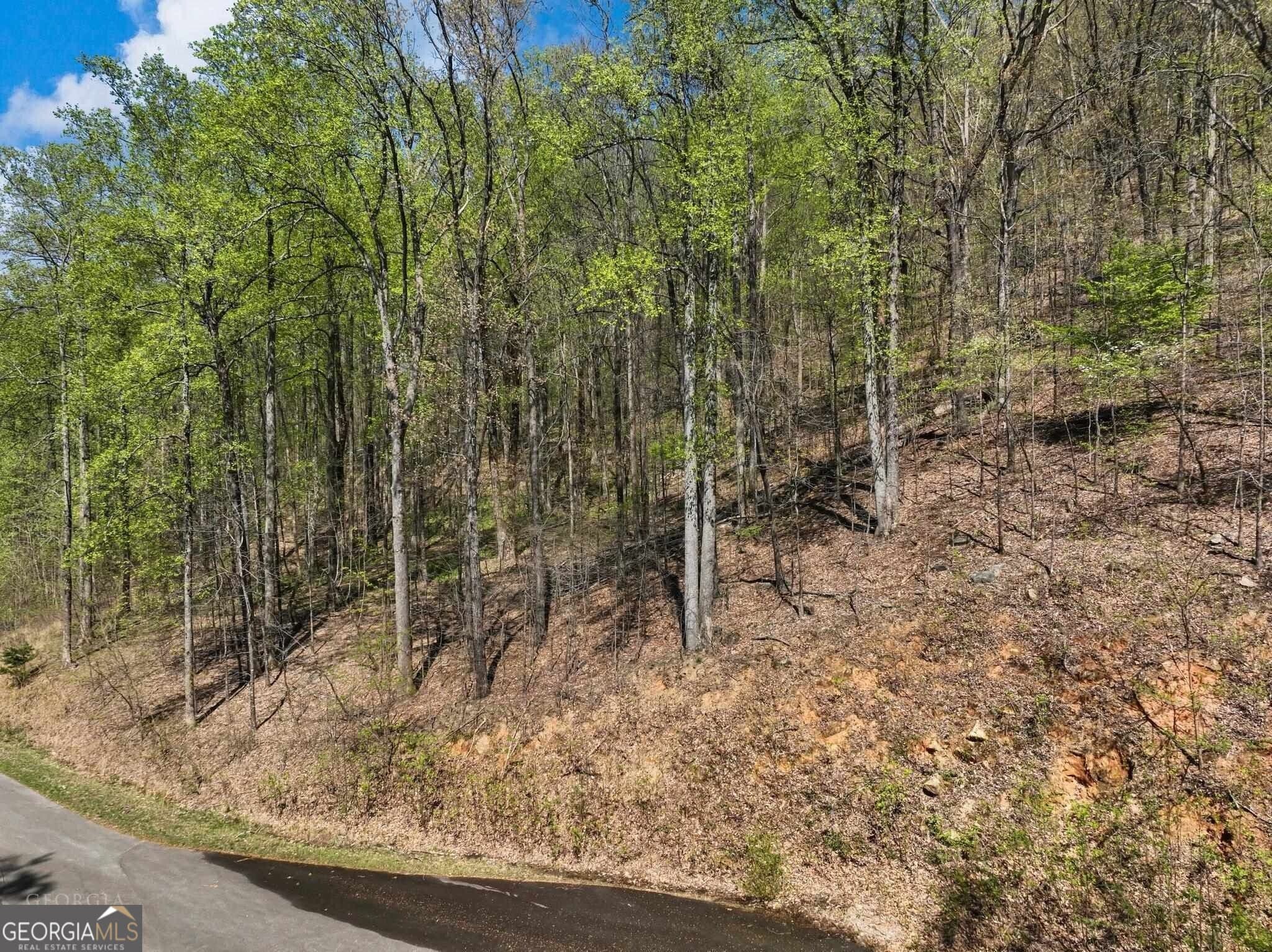 unimproved land for sale at 0 Stone Cliff Trace, Cleveland, GA 30528 — photo 5