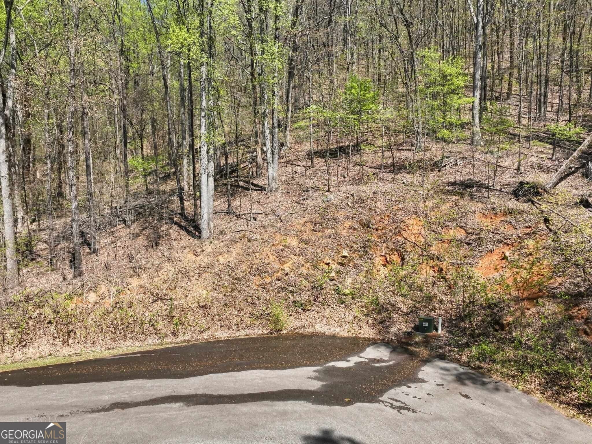 unimproved land for sale at 0 Stone Cliff Trace, Cleveland, GA 30528 — photo 4