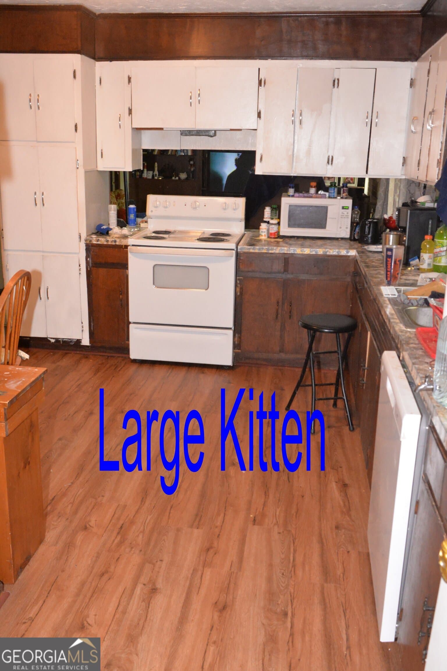 3 bedroom, 2 bathroom, 1,678 sq ft single family residence for sale at 101 Pineview Drive, Thomaston, GA 30286 — photo 7