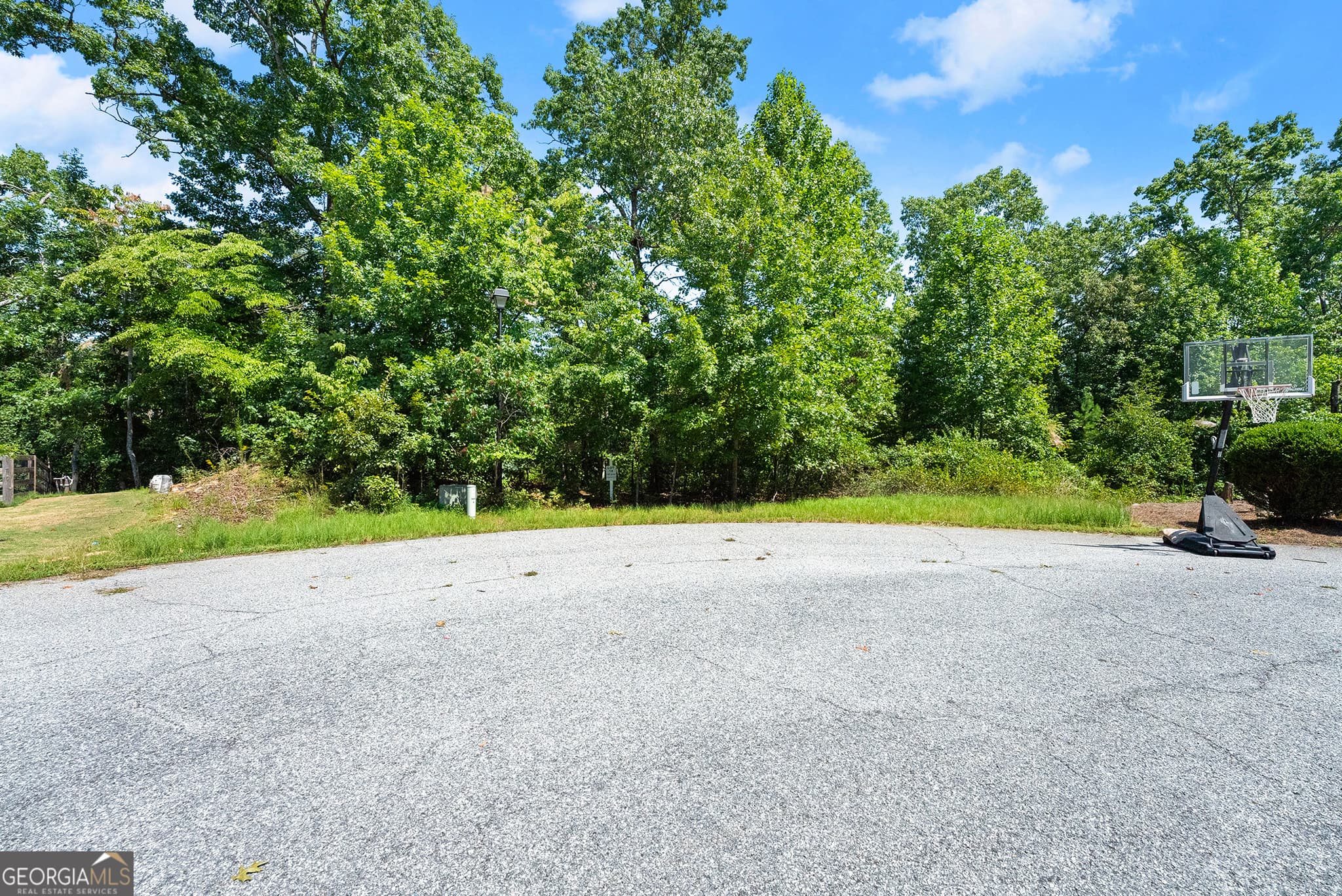 residential lot for sale at 0 Flat Rock Point, Dahlonega, GA 30533 — photo 6