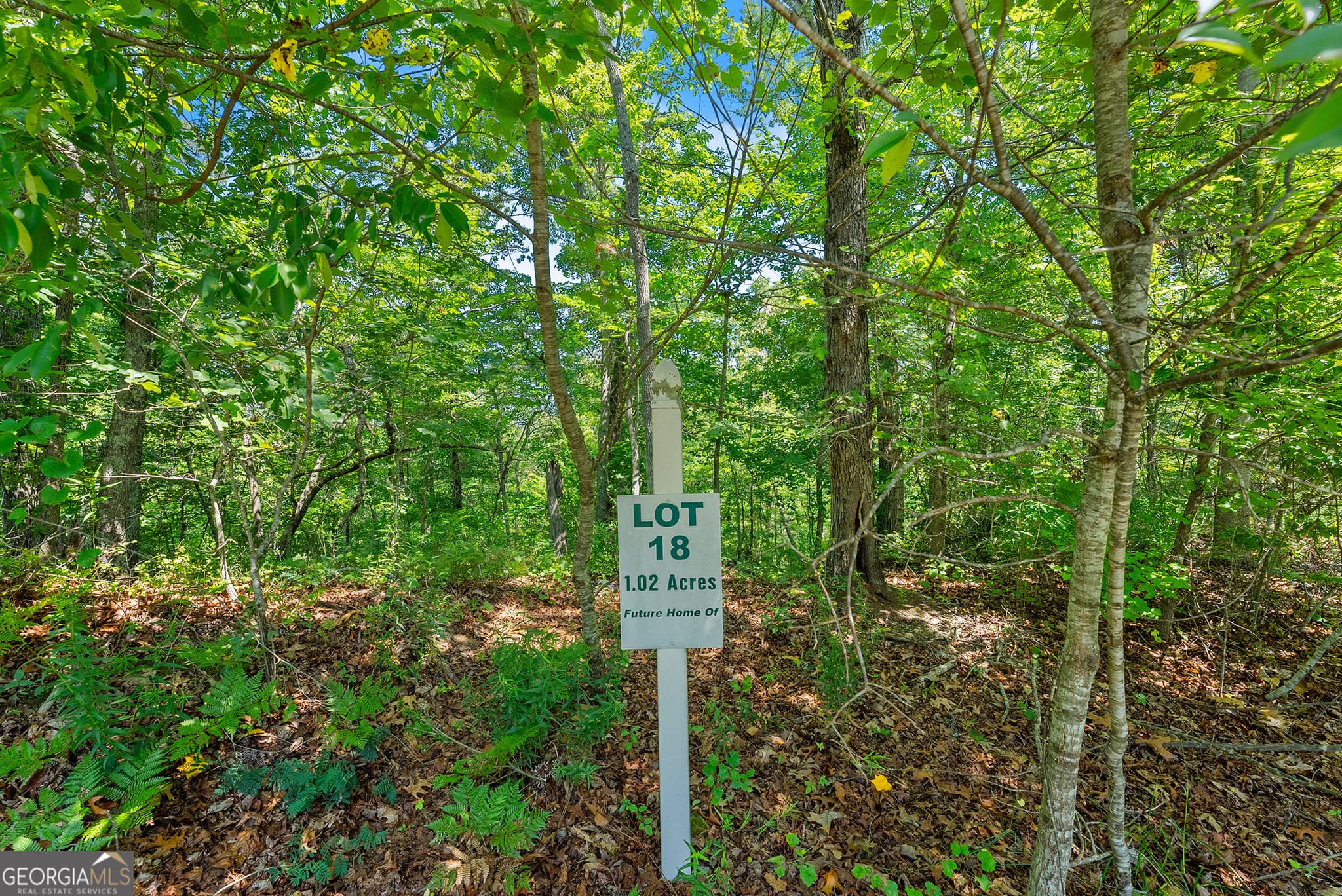 residential lot for sale at 0 Flat Rock Point, Dahlonega, GA 30533 — photo 7
